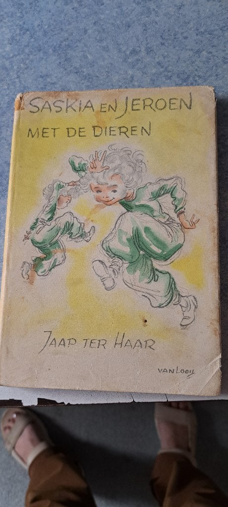 Boeken van Saskia en Jeroen, Boeken, Fictie algemeen, Jaap ter Haar, Ophalen, Gelezen