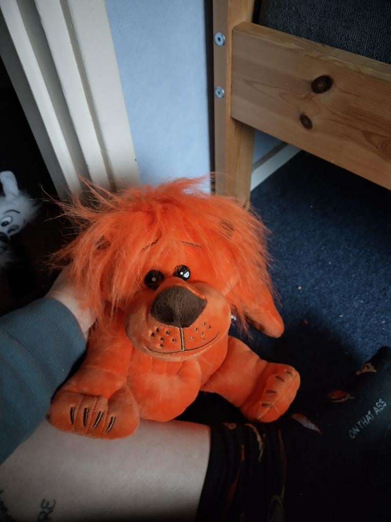 ING Leeuw Knuffel Spaarpot, Ophalen, Gebruikt, Overige typen