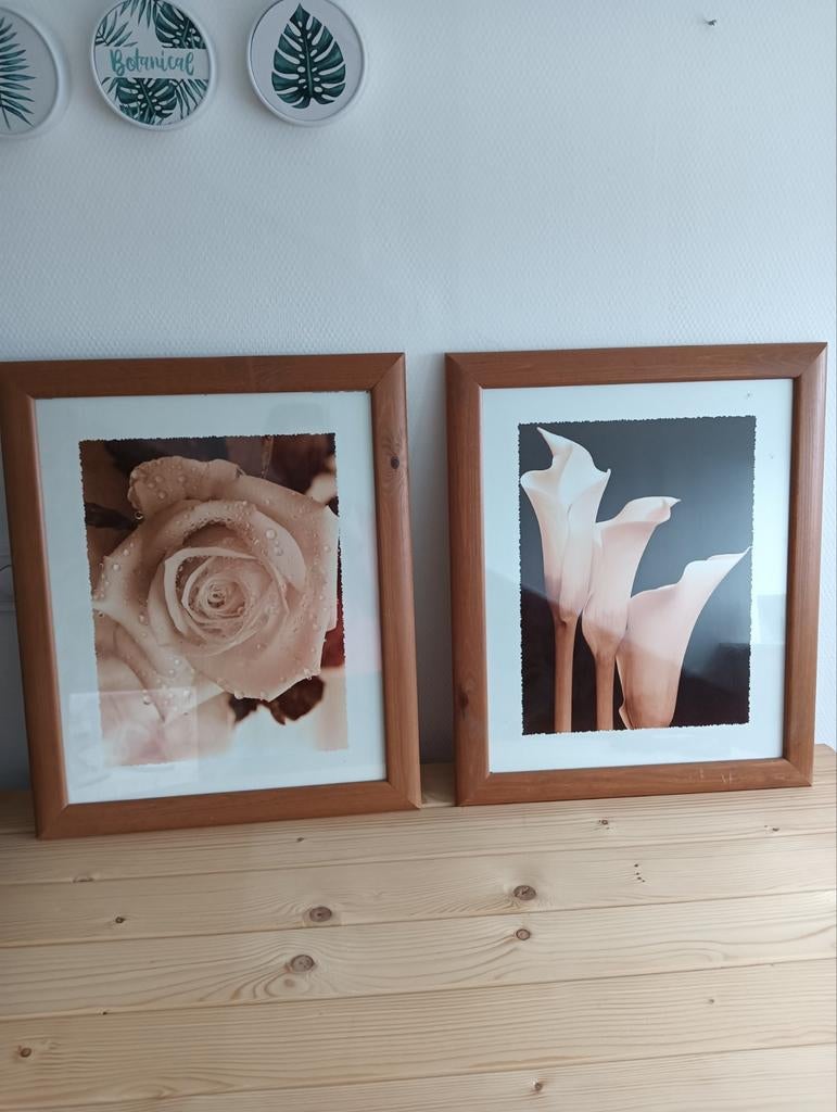 Twee Schilderijen met Houten Lijst, Ophalen, Minder dan 50 cm, Gebruikt, 50 tot 75 cm