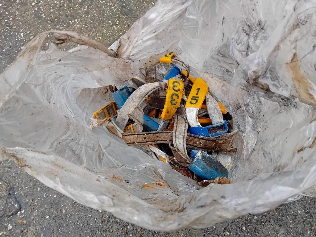 Koeienhalsband met sensor, Ophalen, Gebruikt