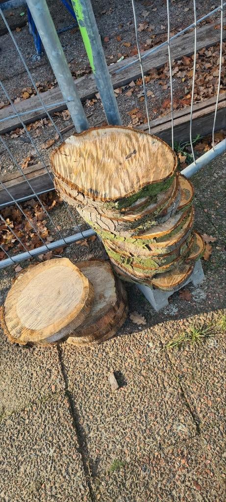Boomstamschijven diverse formaten, Minder dan 50 cm, Rond, Nieuw, Ophalen of Verzenden