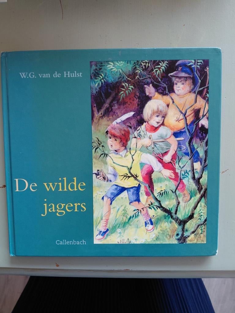 W.G. van de Hulst - De wilde jagers, Ophalen of Verzenden, Gelezen, W.G. van de Hulst, Fictie algemeen