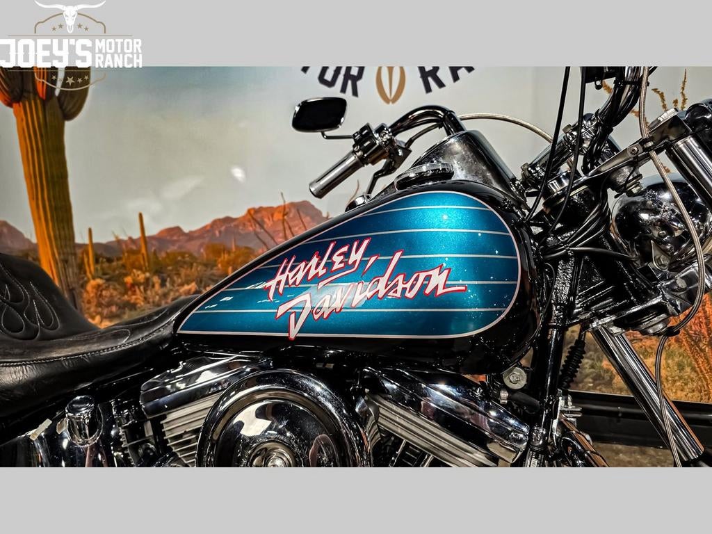 HARLEY-DAVIDSON SOFTAIL STANDARD FXST CUSTOM (bj 1989), Motoren, Motoren | Harley-Davidson, 2 cilinders, 1338 cc, HARLEY-DAVIDSON