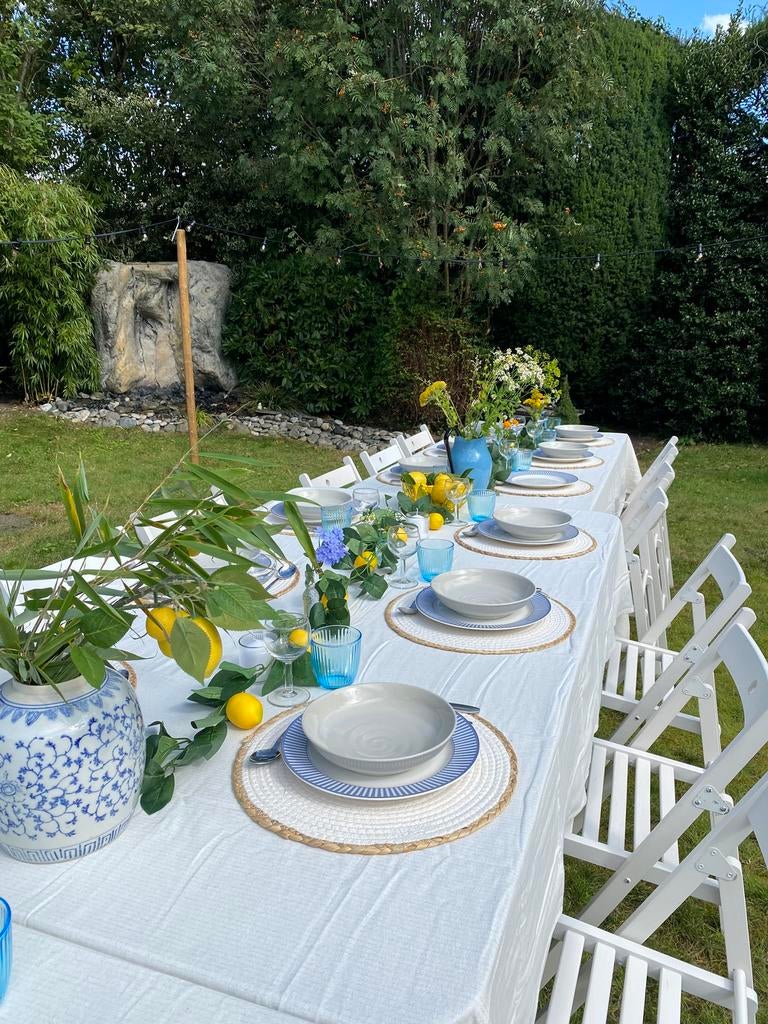 Capri servies te huur 20 personen - diner feest of 21 party, Ophalen, Zo goed als nieuw, Overige