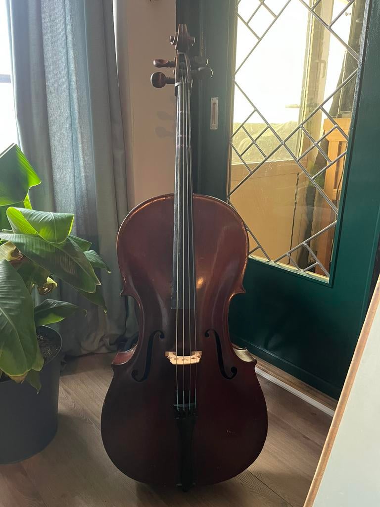Oude Cello 4/4 met taxatierapport Saksisch, Muziek en Instrumenten, Strijkinstrumenten | Contrabassen, Gebruikt, Ophalen