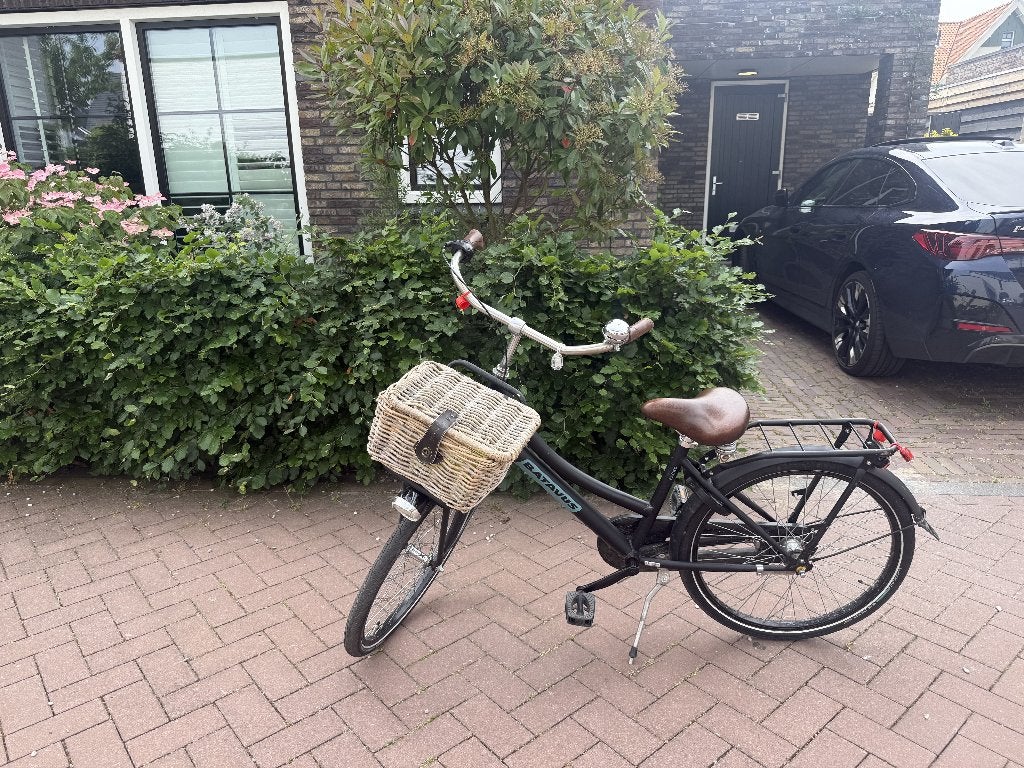 Batavia Packd, meisjesfiets 7-11 jaar 20 inch, Ophalen, Terugtraprem, Batavus, 16 tot 20 inch