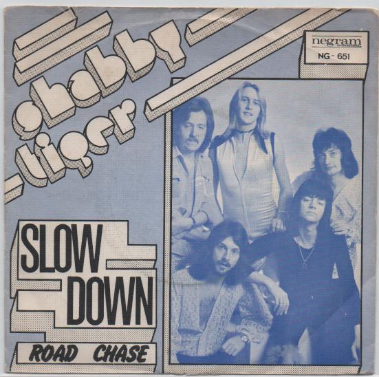 Shabby Tiger- Slow Down, Gebruikt, Verzenden, 7 inch, Fotohoes