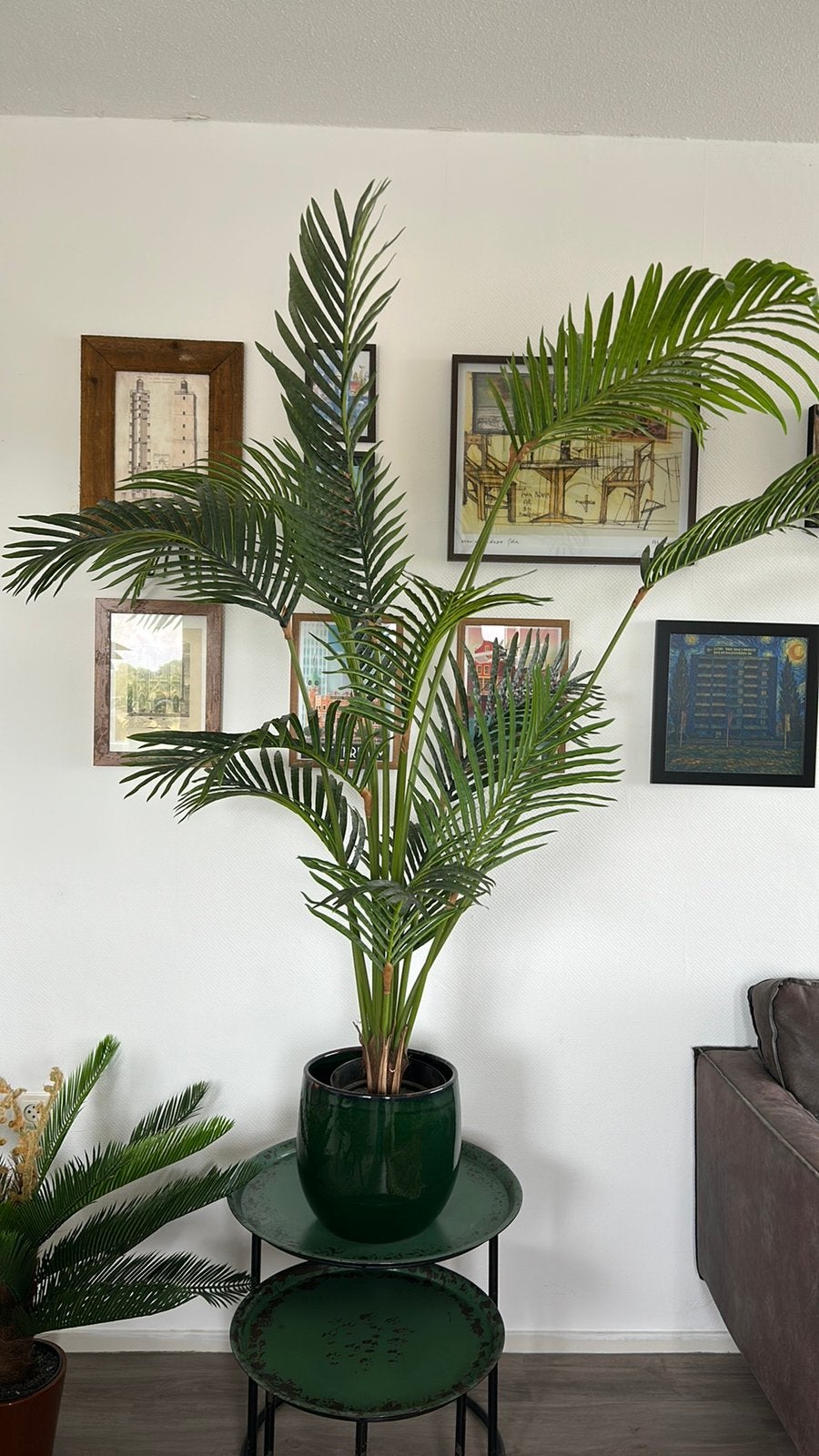 Palm kunst, Ophalen, Palm, 150 tot 200 cm
