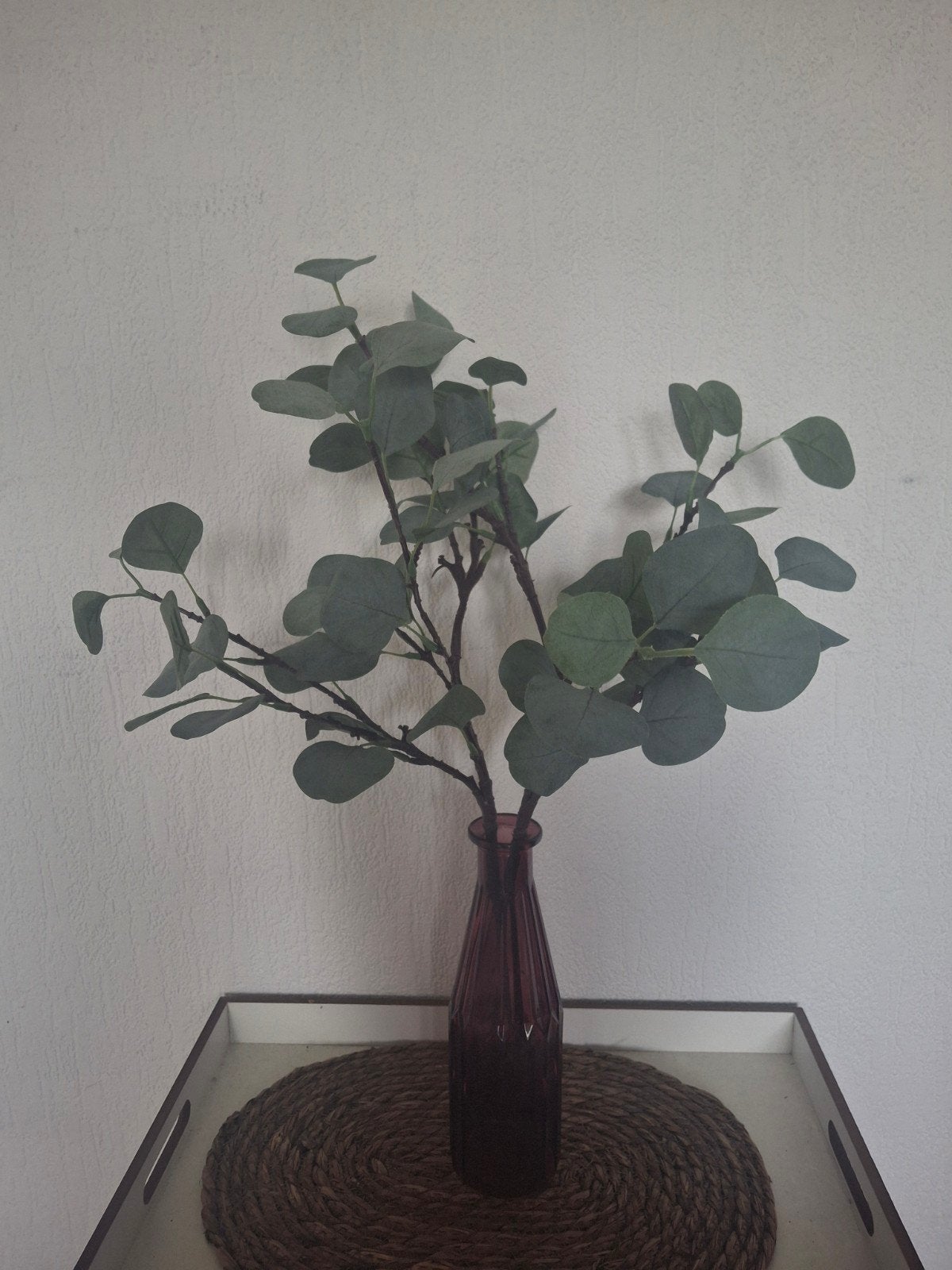 Zijde eucalyptus takken - Realistische kunsttakken, Ophalen, Binnen, Groen, Kunsttak