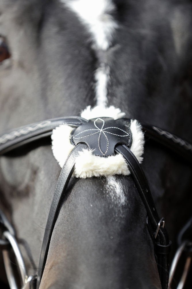 hoofdstel full, Dieren en Toebehoren, Paarden en Pony's | Hoofdstellen en Tuigage, *, Hoofdstel, Verzenden, *