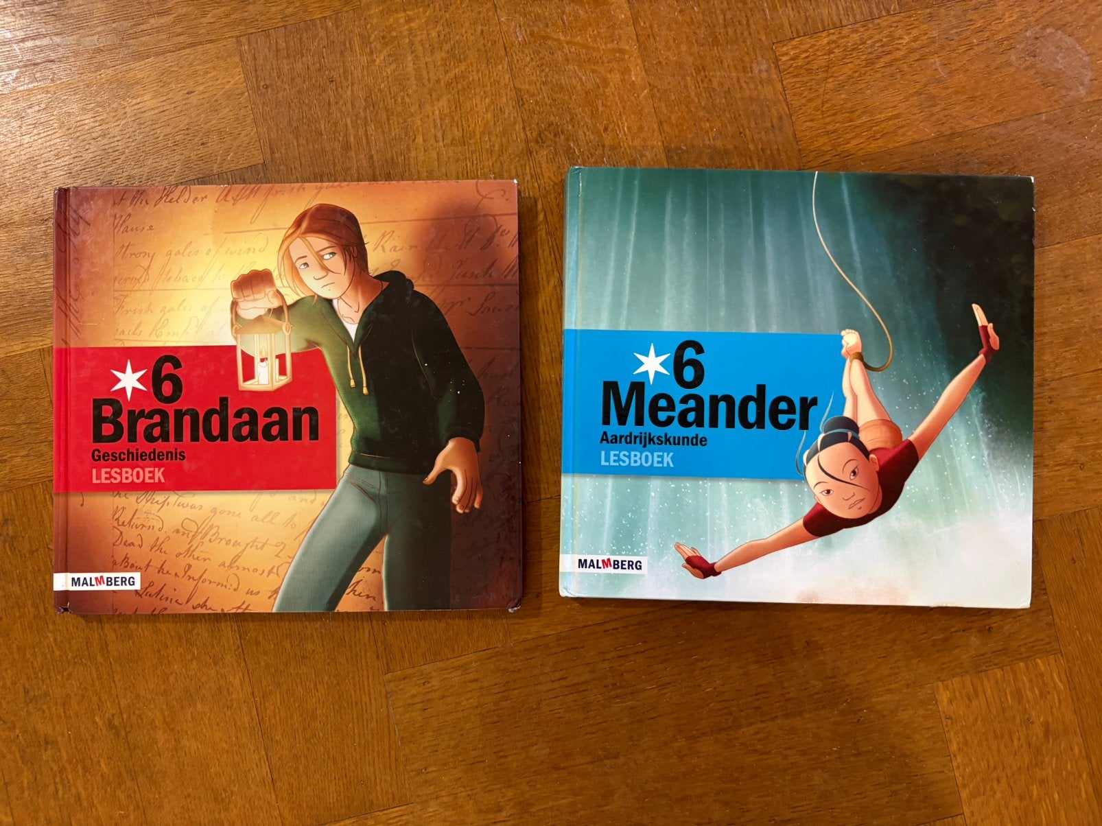 Brandaan Meander groep 6, Boeken, Ophalen of Verzenden, Zo goed als nieuw, Overige niveaus, Overige vakken