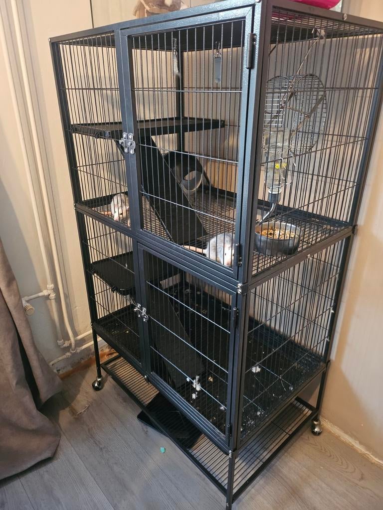 Zo goed als nieuwe rattenkooi, Dieren en Toebehoren, Ophalen, Kooi, 110 cm of meer, 60 tot 90 cm