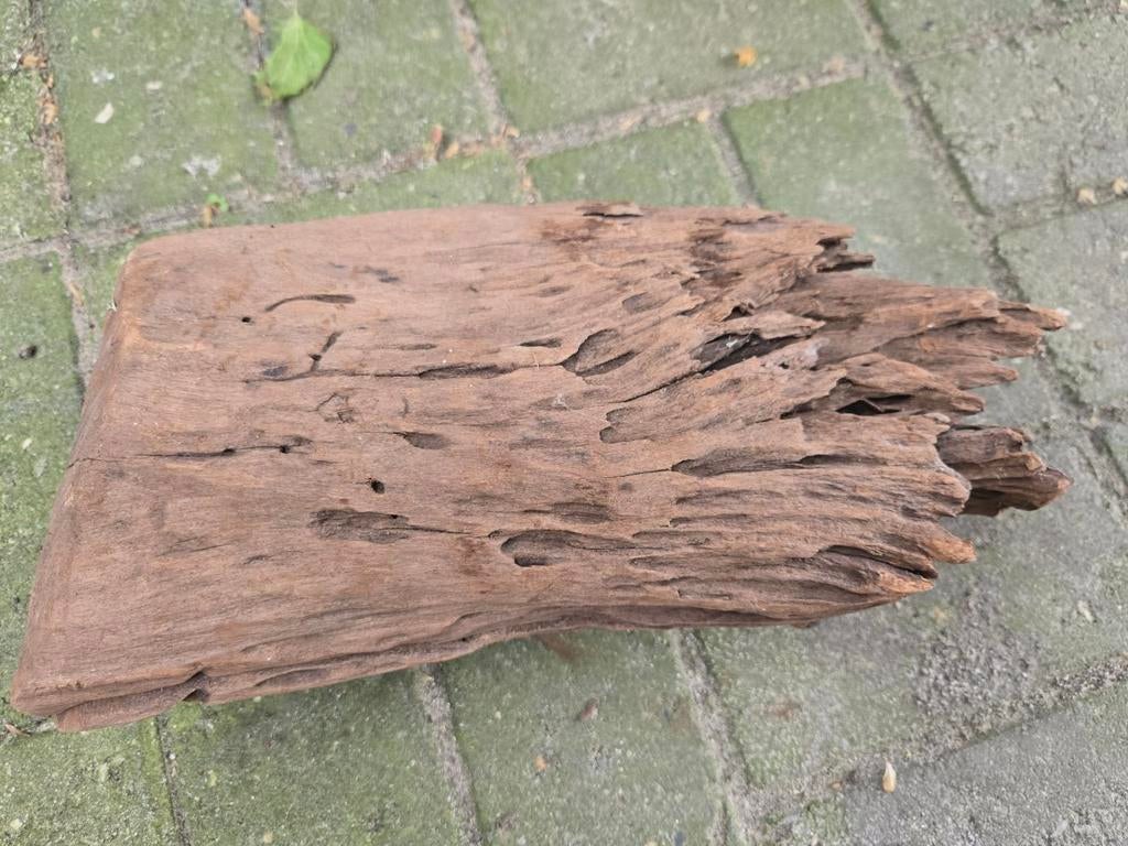 Decoratief stuk drijfhout - Uniek en natuurlijk, Dieren en Toebehoren, Ophalen of Verzenden, Gebruikt