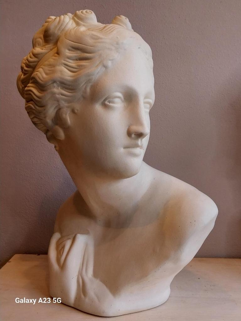 Groot klassiek Venus borstbeeld buste terracotta 43 cm, Antiek en Kunst, Kunst | Beelden en Houtsnijwerken, Buste, Ophalen of Verzenden