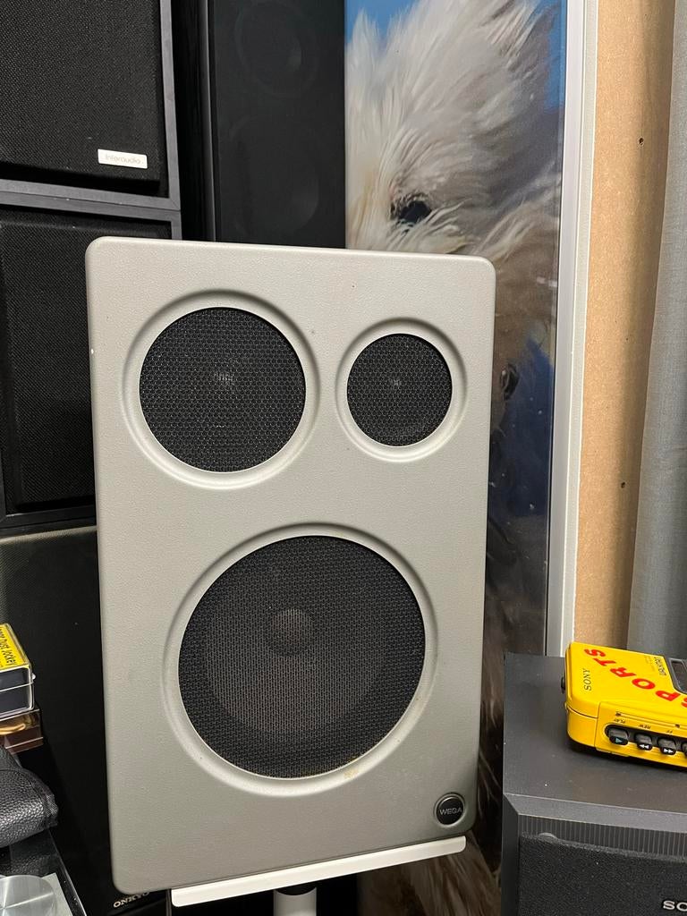 Wega luidspreker - Compacte en krachtige speaker, Gebruikt, Minder dan 60 watt, Front, Rear of Stereo speakers, Ophalen