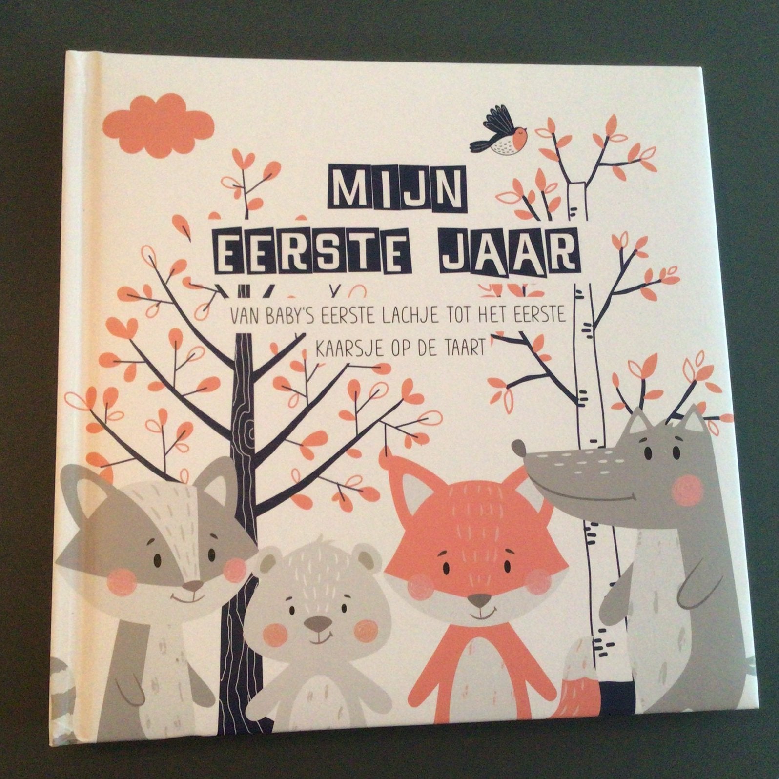 Mijn eerste jaar, Ophalen of Verzenden, Nieuw, Zwangerschap en Bevalling