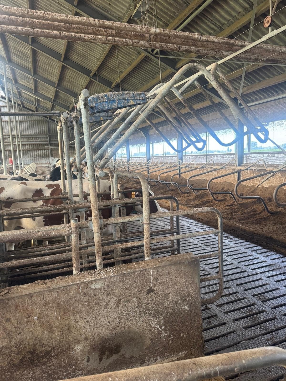 Boumatic voerboxen 3 stuks en 3 stuks sluithekken, Dieren en Toebehoren