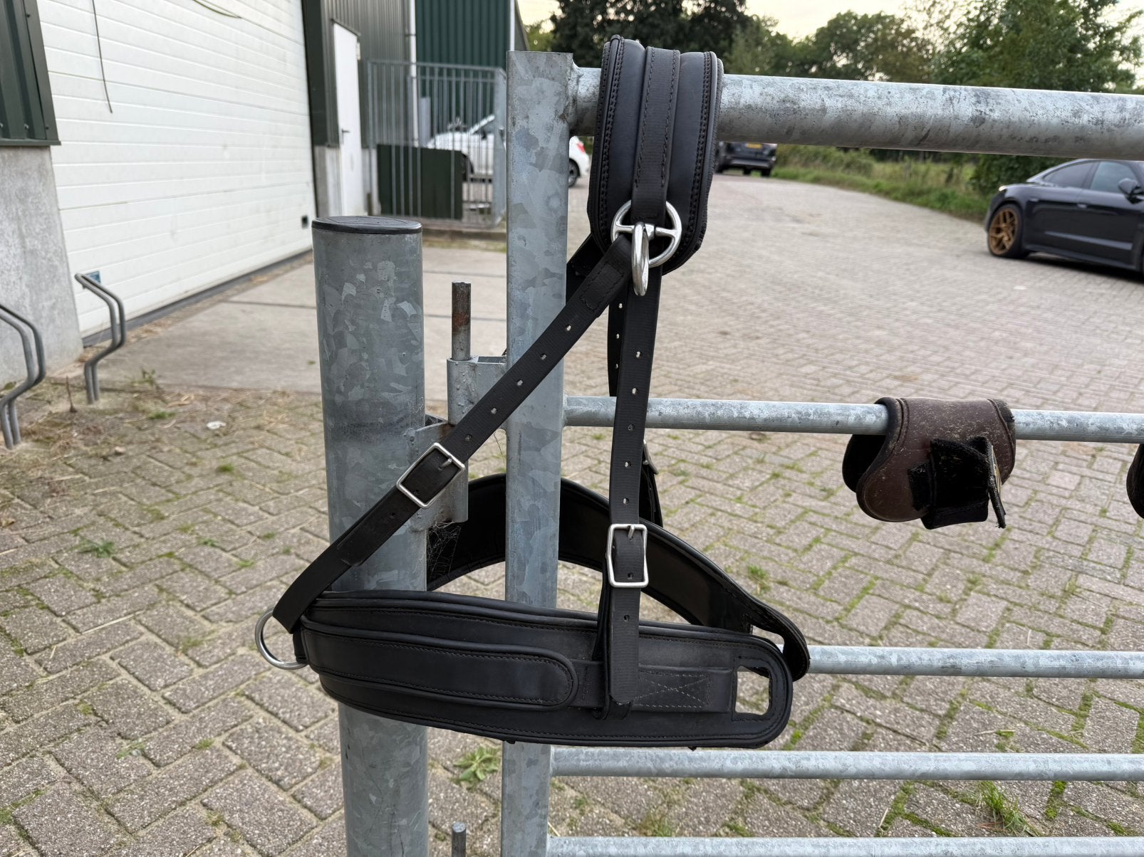 Arden mentuig, Dieren en Toebehoren, Ophalen of Verzenden, Gebruikt, Overige disciplines