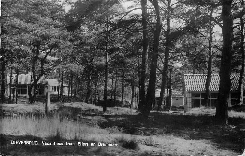 380-872-019 Dieverbrug Ellert en Brammert, Verzamelen, Verzenden, Voor 1920, Drenthe
