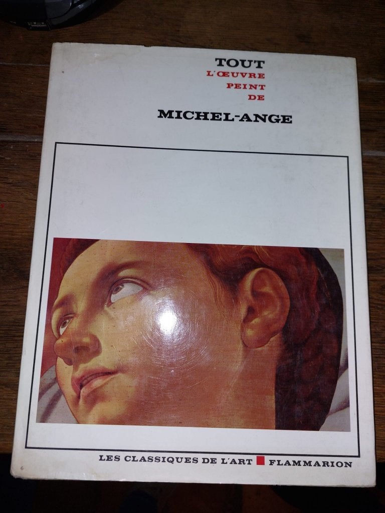 tout l'oevre peint Michel-Ange, Ophalen of Verzenden, Nieuw, Schilder- en Tekenkunst