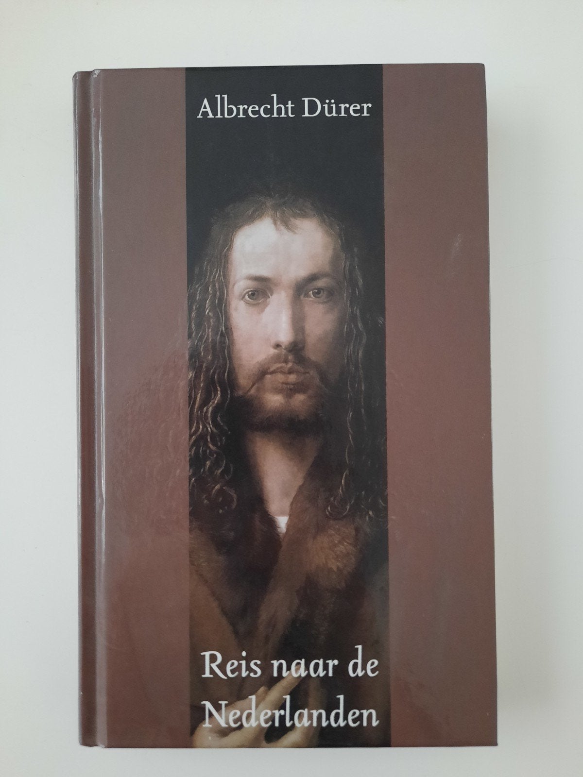 Albrecht Dürer - Reis naar de Nederlanden, Ophalen of Verzenden, Zo goed als nieuw