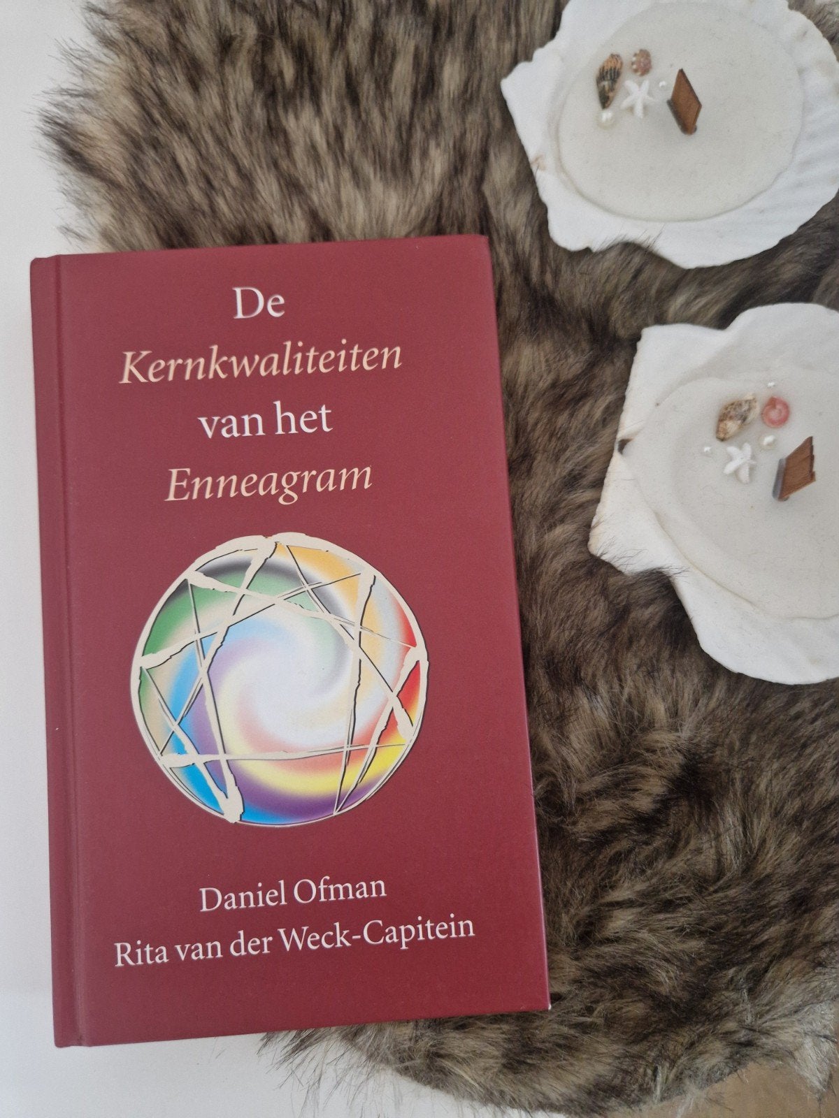 De Kernkwaliteiten van het Enneagram - Daniel Ofman, Boeken, Achtergrond en Informatie, Spiritualiteit algemeen, Ophalen of Verzenden
