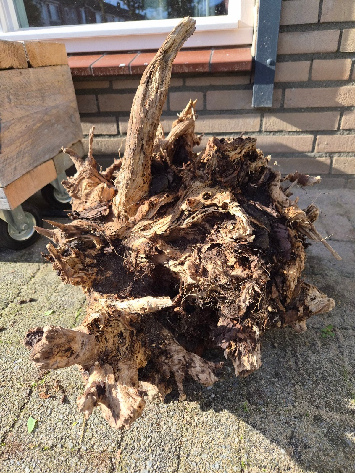 Decoratieve boomstronk - 50 cm hoog, Ophalen, Gebruikt