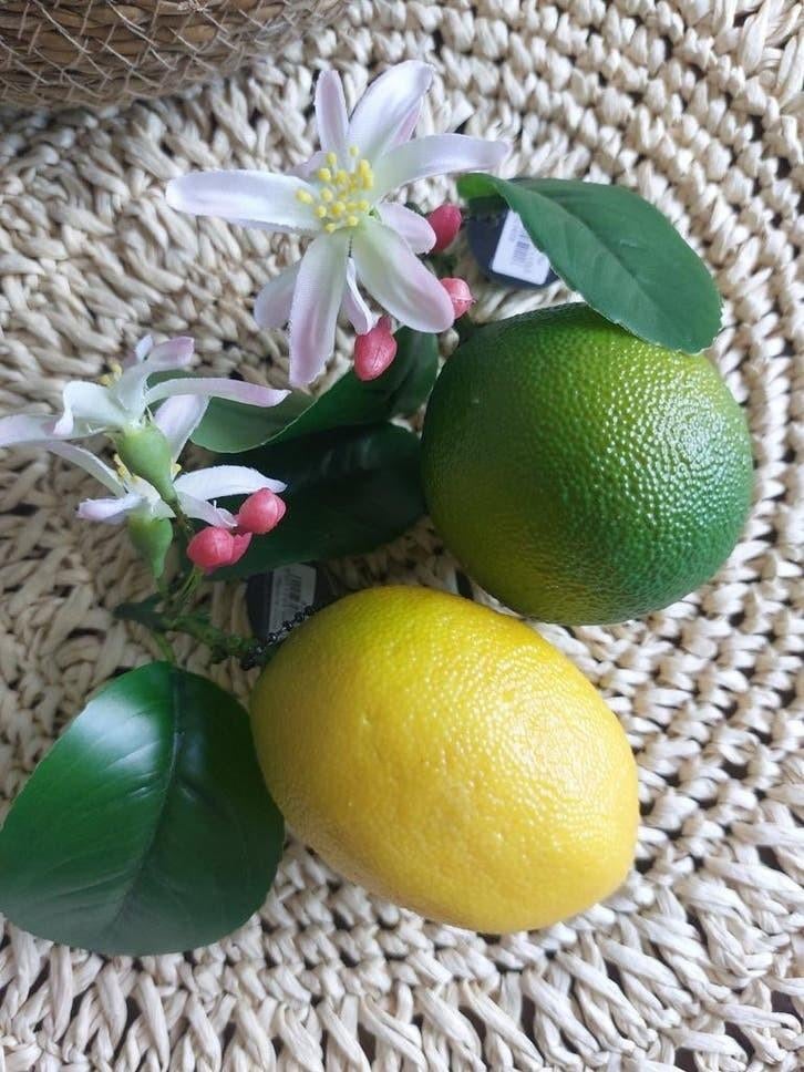 Decoratie fruit citroen + limoen Parlane 2x kunstfruit Nieuw, Ophalen of Verzenden, Nieuw, Binnen