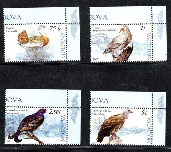VOGELS POSTFRISSE ZEGELS. Jaar 2007: Moldavië, Ophalen of Verzenden, Postfris, Dier of Natuur