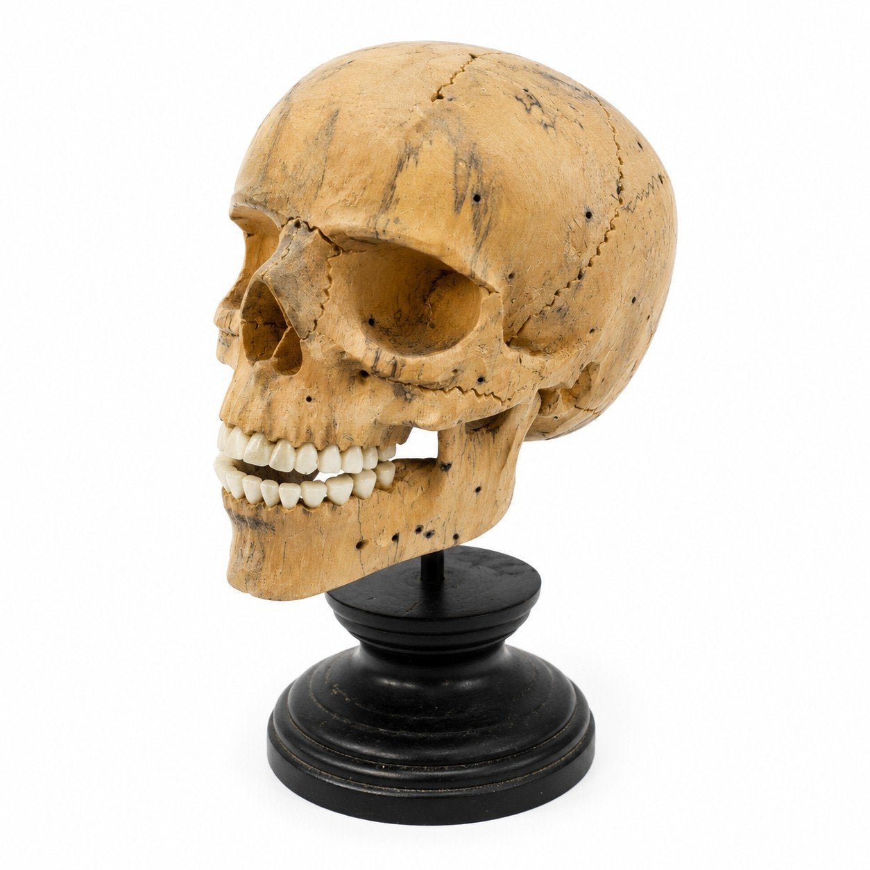 Handgesneden houten schedel van tamarindehout – met beweegba, Indonesië, Ophalen of Verzenden, 18 cm, Hout