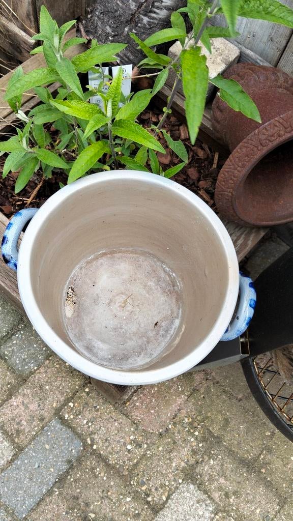 Brocante grote Keulse pot, Ophalen