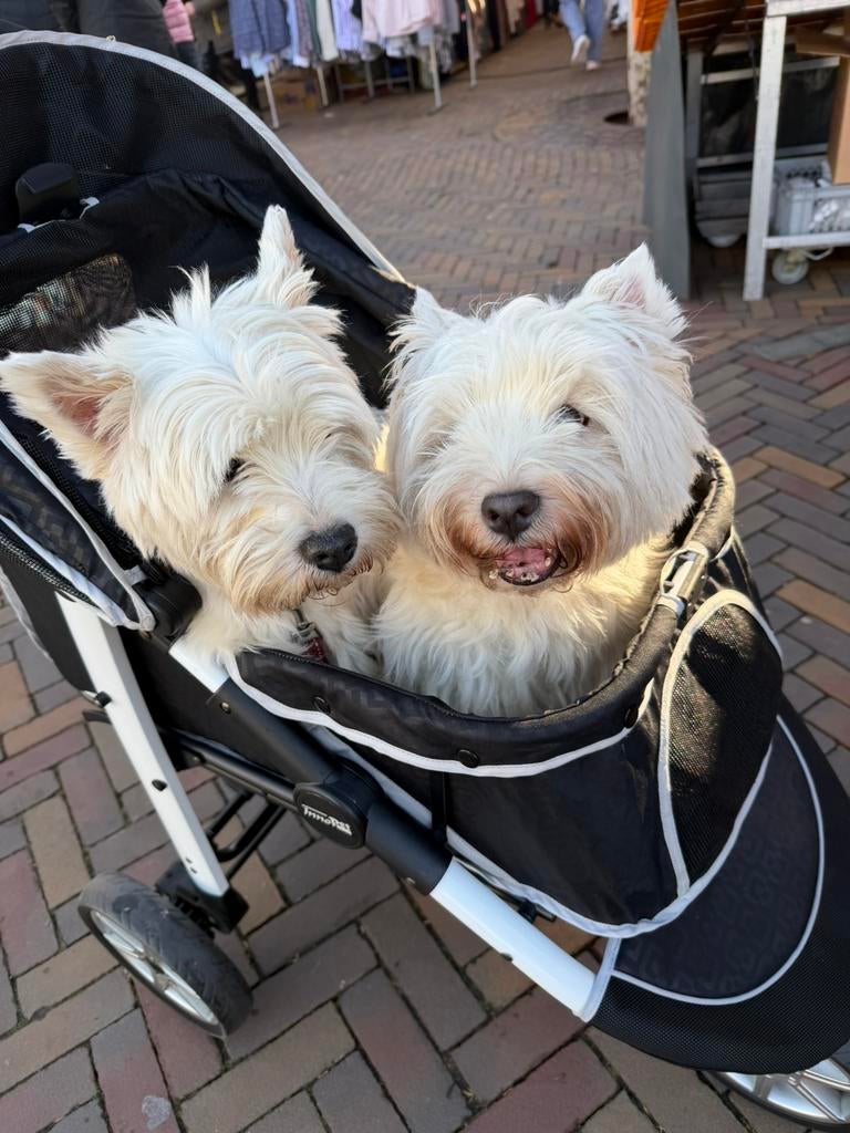 Huur een hondenbuggy voor de vakantie, Ophalen, Zo goed als nieuw