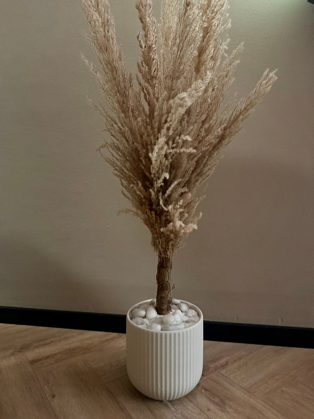 Pampasboom, Binnen, Beige, Kunstplant, Ophalen of Verzenden