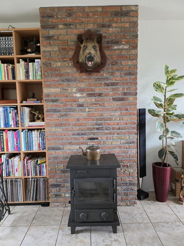 Cox Stove houtkachel, Huis en Inrichting, Kachels, Ophalen, Gebruikt, Houtkachel, Vrijstaand