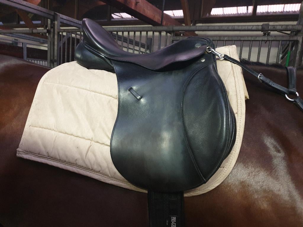 kieffer Aachen 18", Ophalen, Gebruikt, Dressuur