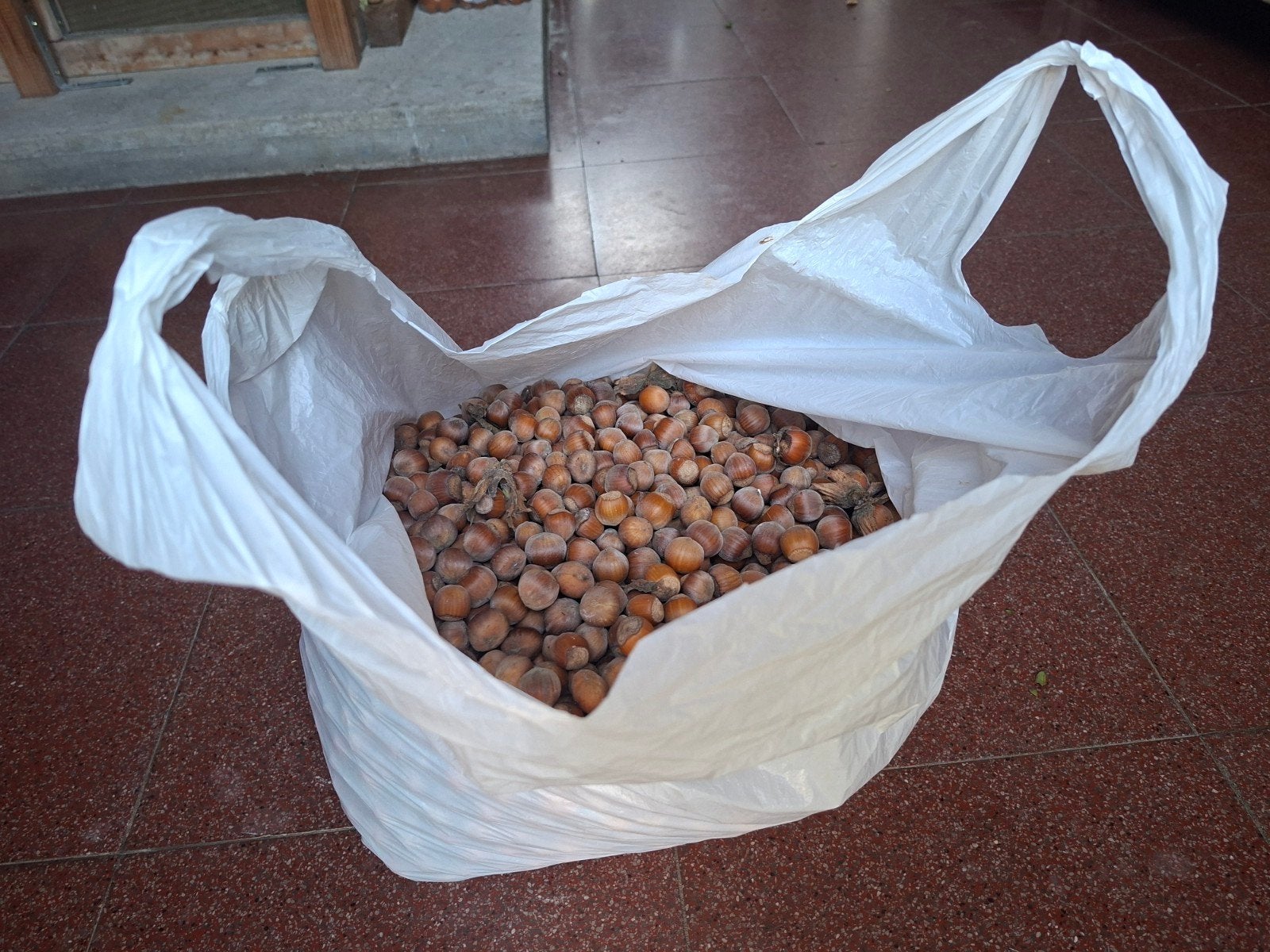 6kg verse hazelnoten, Diversen, Ophalen