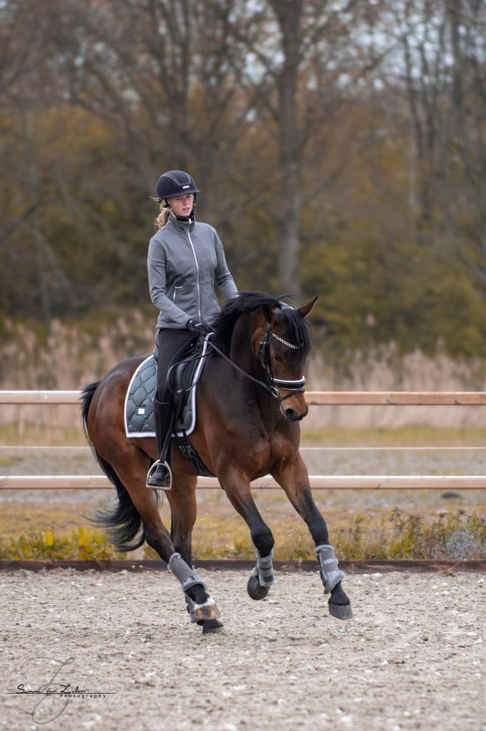 Equestrian Stockholm sets, Ophalen of Verzenden, Zo goed als nieuw