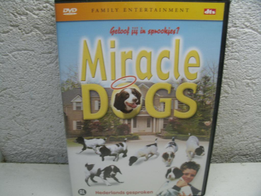 dvd 43k miracle dogs, Vanaf 6 jaar, Ophalen of Verzenden, Zo goed als nieuw