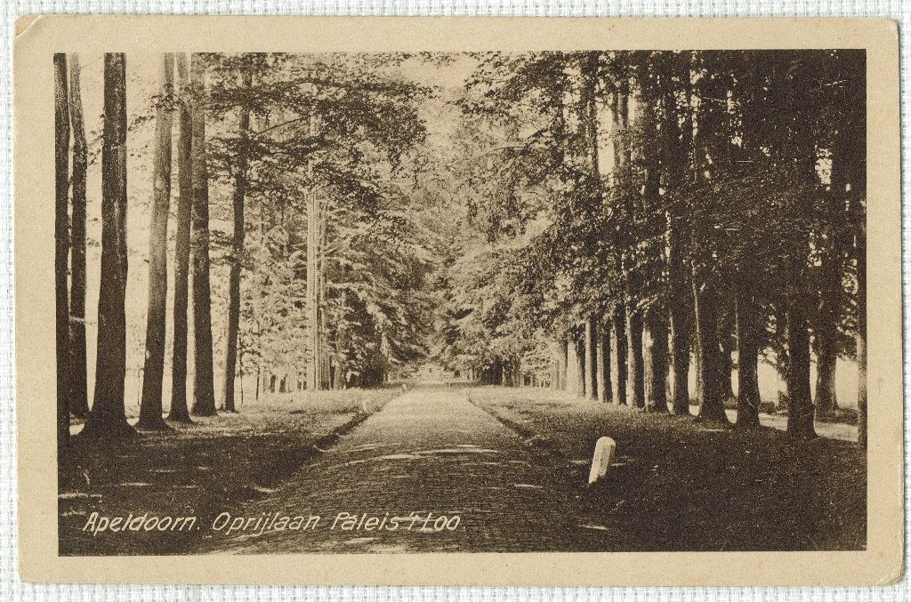 Apeldoorn – Oprijlaan Paleis ’t Loo., Verzamelen, Ophalen of Verzenden, 1920 tot 1940, Ongelopen, Gelderland