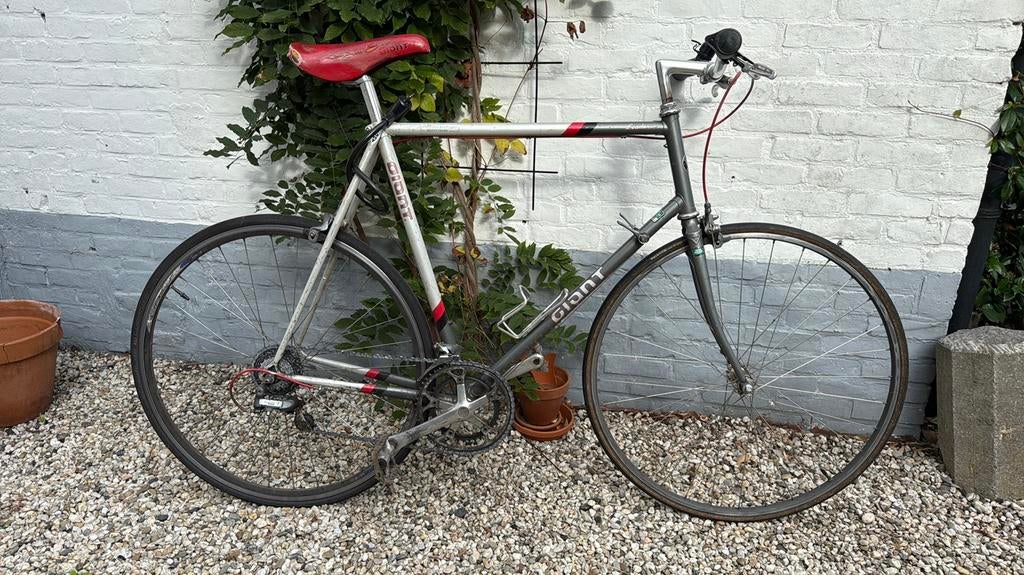 Giant leader -moet zsm weg-, 55 tot 59 cm, Ophalen