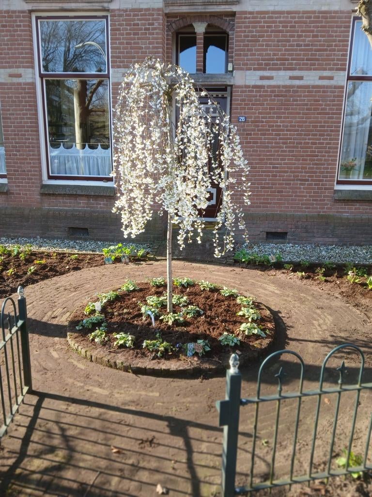 Hovenier, Ophalen of Verzenden, Zo goed als nieuw, 20 m² of meer