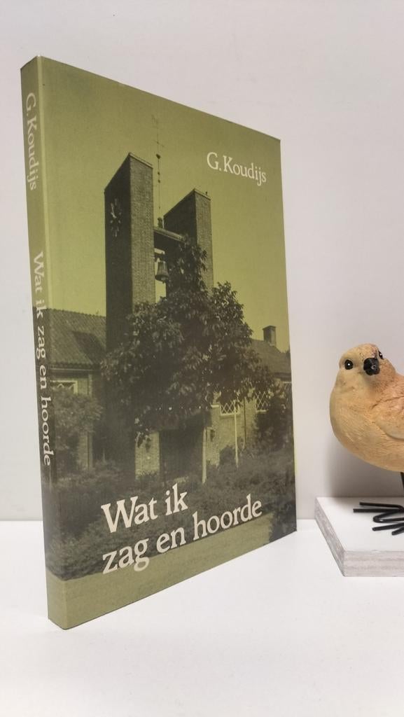 Koudijs, G,; Wat ik zag en hoorde, Ophalen of Verzenden, Gelezen, Christendom | Protestants