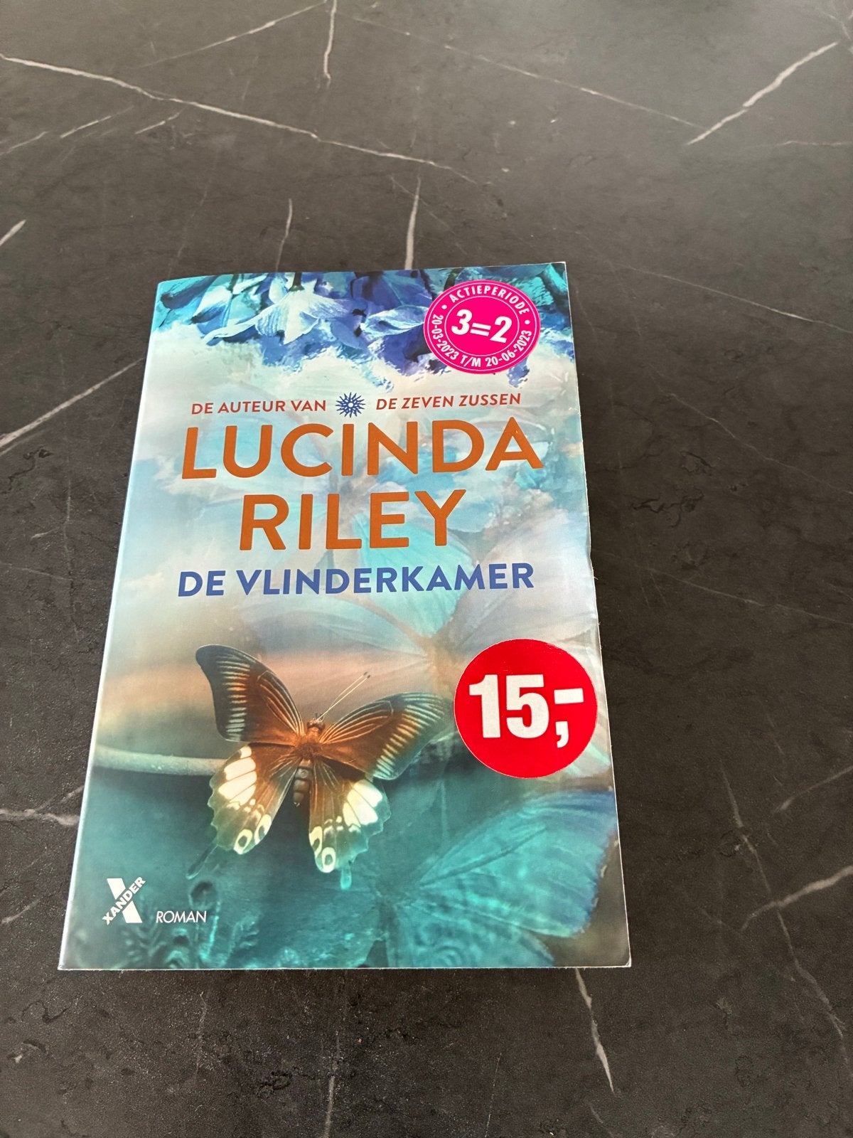 Lucinda Riley - De Vlinderkamer (Roman), Boeken, Verzenden, Zo goed als nieuw, Nederland