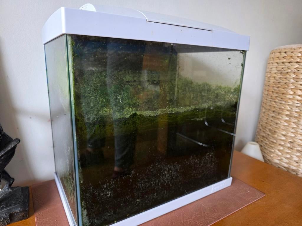Aquarium zelf schoonmaken incl vissen en accessoires, Dieren en Toebehoren, Ophalen, Inclusief vissen, Gebruikt, Superfish
