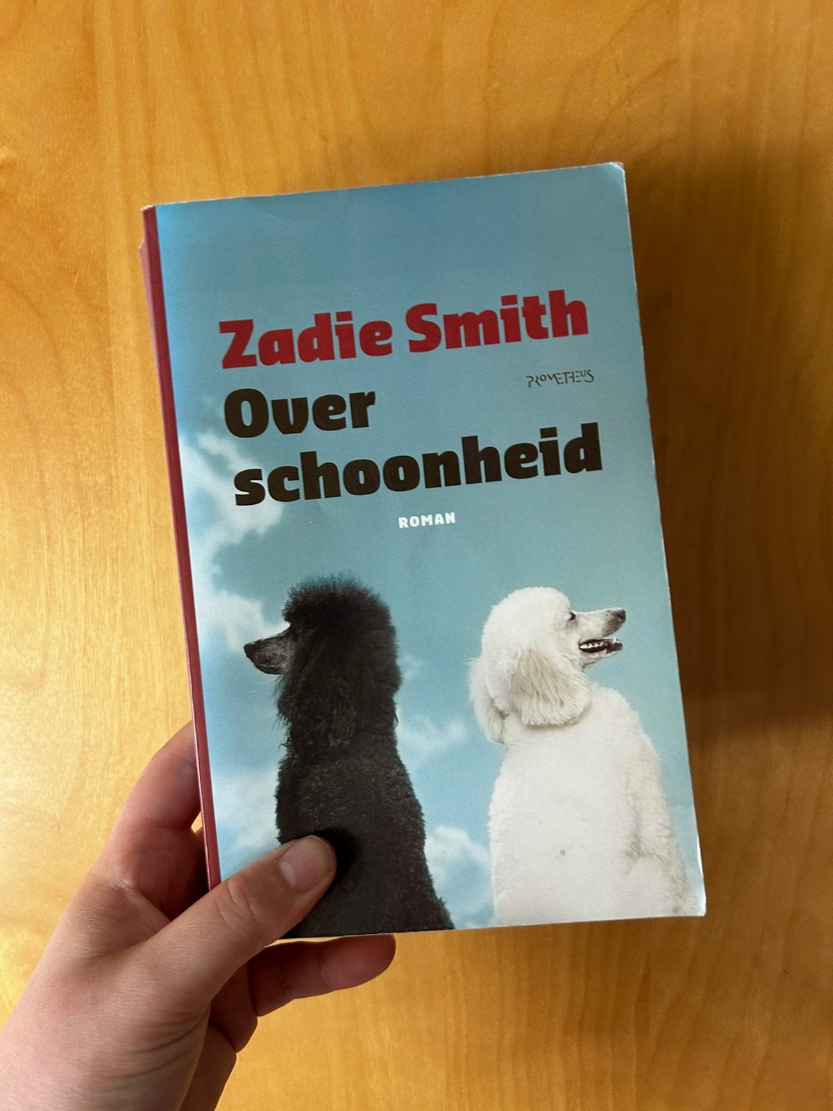 Zadie Smith - Over schoonheid, Ophalen of Verzenden, Gelezen, Zadie Smith
