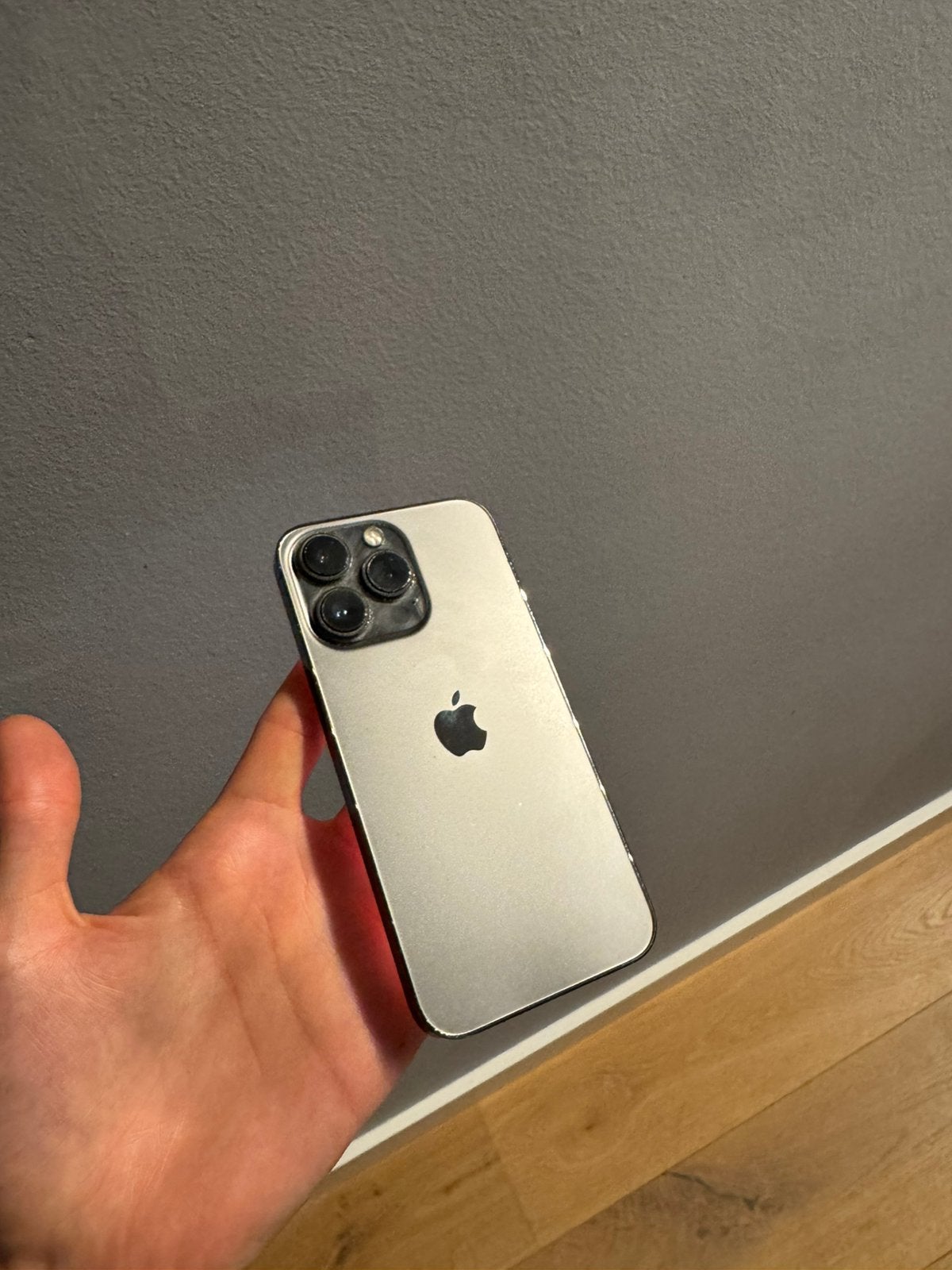 iPhone 13 Pro - 1TB - 100% Batterij, Telecommunicatie, Mobiele telefoons | Apple iPhone, Ophalen, Gebruikt, 1 TB, IPhone 13 Pro