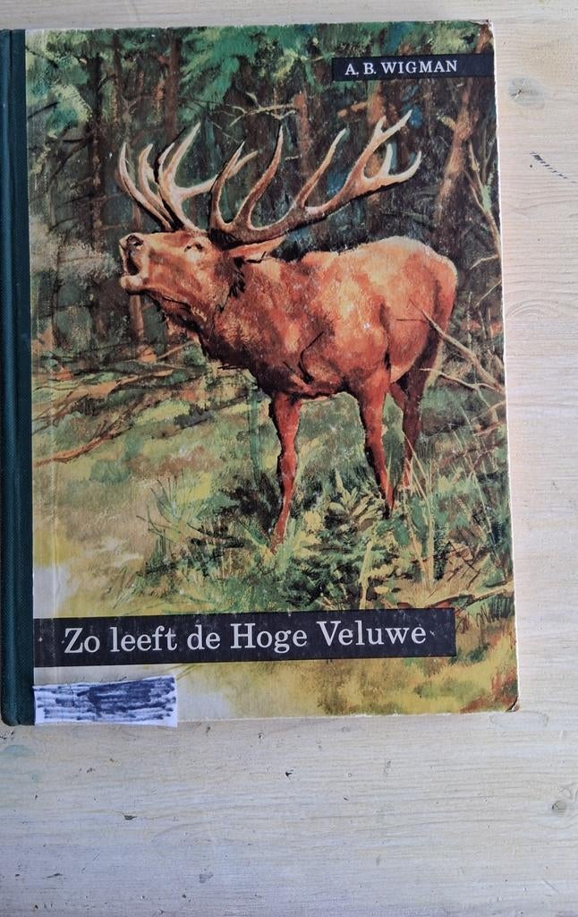 plaatjesalbum over de Hoge Veluwe 1960 A.B. Wigman, Ophalen of Verzenden, Gelezen, J.B. Wigman, Plaatjesalbum