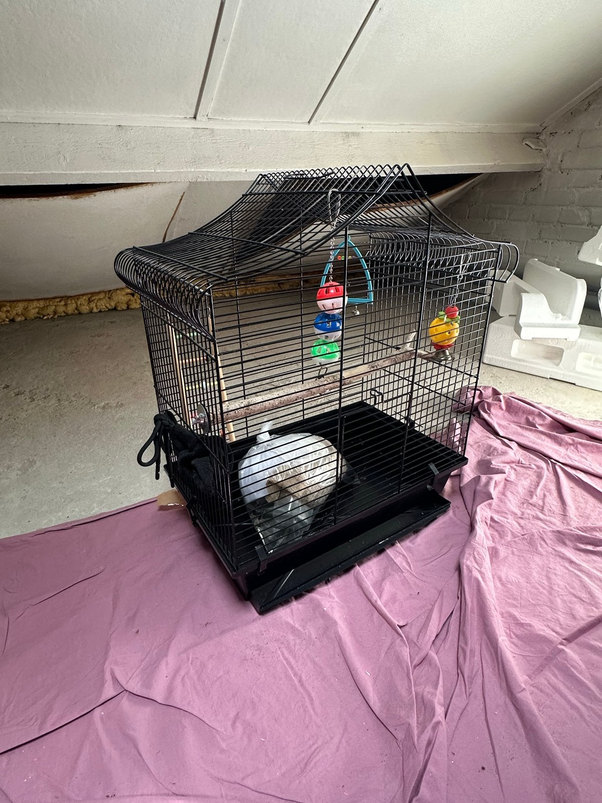 Vogelkooi, Ophalen of Verzenden, Zo goed als nieuw, Aluminium, Vogelkooi