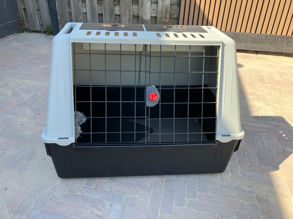 Honden bench, Ophalen, Zo goed als nieuw, Minder dan 75 cm, Minder dan 65 cm
