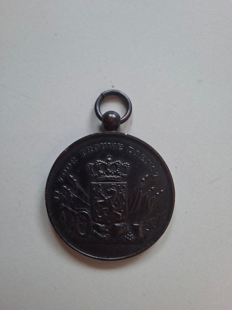 Medaille Voor Trouwe Dienst Nederlandse Krijgsmacht, Ophalen of Verzenden, Luchtmacht, Nederland, Lintje, Medaille of Wings